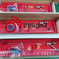 Uréteroscope à fibres optiques compatible R.wolf pour adultes 00434643, 8/9.8Fr, 6/7.5Fr, 4/4.5Fr, longueur de la gaine 300mm, 430mm, 2 canaux de travail