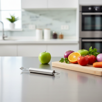 UJ-GP054 Éplucheur de citron classique en acier inoxydable, zéteuse à citron, outils de cuisine