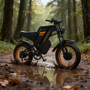Vélo électrique GT-20 de 20 pouces avec pneus pour neige/plage et moteur 48V 500W pour l'aventure - Product Image 1