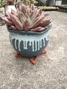 Pots de fleurs Étagères <span class=keywords><strong>sur</strong></span>élevées Ventilation Anti-accumulation d'eau Non étouffant Non pourri Tapis de <span class=keywords><strong>pied</strong></span> Combinaison mobile Plateaux en plastique - Product Image 4