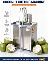 Elektrische kokosnootsplitter & -helfter met 2,2 kW motor, éénfase, fruitpeller, 1 jaar garantie