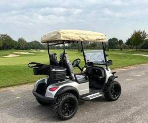 Carrito de Golf Compacto, Deslizamiento Suave, Scooter de Golf Resistente para Interiores y Exteriores, para Césped, para Caminos No Públicos - Product Image 3