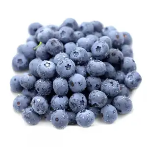 Diakui ISO Jumlah Besar Terus Kualitas Terbaik Buah IQF Blueberry Beku dengan Harga Bagus