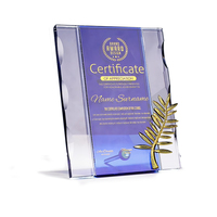 Plaques de cristal K9 transparentes faites à la main Plaques de carte de sport Belle boîte-cadeau Trophée de récompenses sablé haute qualité K9 cristal 2 couleurs