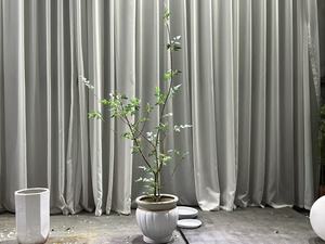 Arbre de clochettes artificiel, plante verte artificielle de luxe, plante artificielle d'intérieur, plante en pot bionique, décoration de salon, <span class=keywords><strong>Pieris</strong></span> <span class=keywords><strong>Japonica</strong></span> - Product Image 4