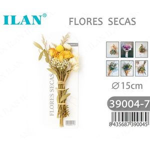 Bouquet de fleurs séchées Ilan 15 cm, arrangement décoratif naturel - Product Image 1