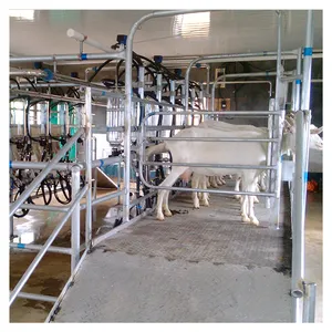 KLN cow pipeline rotary automatic cow goat milking machine australia milking system