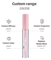 Vente en gros, marque privée, huile repulpeuse longue durée, baume à lèvres hydratant brillant clair teinté, huile lumineuse pour les lèvres