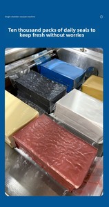 Machine sous vide verticale à chambre unique DZQ400 UK pour le stockage du riz – Scellage professionnel haute efficacité, modèle vertical autoportant - Product Image 3