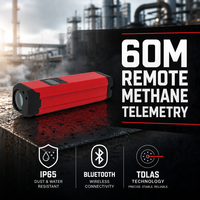 Détecteur de méthane laser portatif HIREP TDLAS, analyseur de fuite de gaz à distance, IP65, surveillance de la sécurité du CH4, portée de 60 m