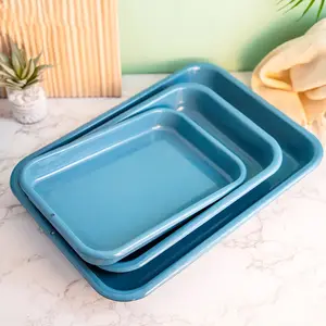 Fortune 500 Supplier Customized Eco Friendly Heat Resistance Nordic Simple Modern Blue Enamel Baking Tray for Oven