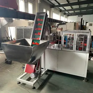 Plastic cap wadding insert and folding machine