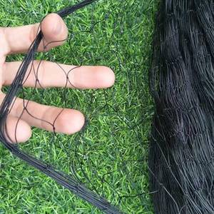 2.5x2.5 ס "מ ניילון קביים ציפור רשת 12.5x200 מ 'חובה כבדה להגנה על כרם ומטעים - Product Image 3