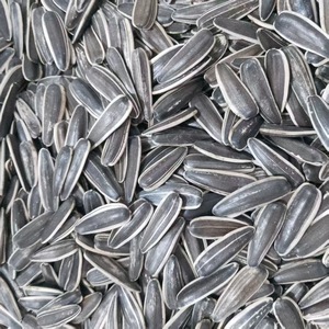 Semillas de Girasol Frescas Originales de Primera Calidad, Crudas y Secas, de <span class=keywords><strong>Mongolia</strong></span> Interior, 1 kg, Venta al por Mayor de Snacks - Product Image 6