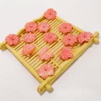 Breloques en coquille de reine pressée à six pétales de 12 mm pour accessoires de vêtements DIY
