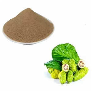 Poudre d'extrait pur de fruit de Noni (Morinda Citrifolia) pour l'alimentation et les boissons – Formulation végétale et ingrédients naturels - Product Image 3