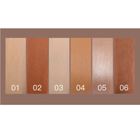 Marque privée OEM Low quantité minimale de commande Vegan parfait cou lèvres visage nez Blush yeux corps maquillage imperméable surligneur bronzeur Contour Palette