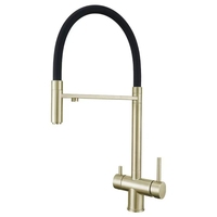 304 acier inoxydable chaud froid robinet d'eau potable double moderne noir Silicone tuyau évier de cuisine trois-en-un robinet Flexible