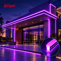 Bande lumineuse LED néon double face entièrement personnalisable, longueur, tension, température de couleur, IP68 pour aménagement extérieur