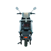 Scooter électrique à deux roues à moteur puissant, vente en gros de vélos électriques, moto, scooter électrique 1000w