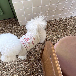 Pet hoodies for <b>Teddy</b> <b>Bears</b>, Bichon Frises, <b>small</b> puppies, Maltese, Yorkshire Terriers, Pomeranians, Schnauzers - Product Image 3