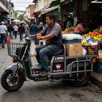 Moto électrique de transport lourd haute performance, vitesse maximale 55 km/h, frein à disque double, scooter électrique de livraison pour les marchés d'Afrique et d'Amérique latine
