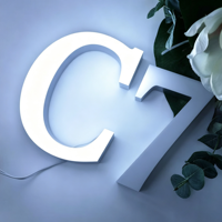 Enseigne lumineuse LED personnalisée, logo 3D pour entreprise, lettres en acrylique, enseigne lumineuse LED pour boutique