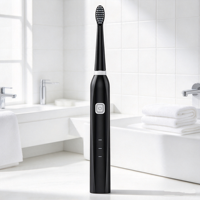 Brosse à dents électrique sonique portable, chargeur de type C, minuteur intelligent de 2 minutes, modes de vibration multiples, brosse à dents électrique blanchissante
