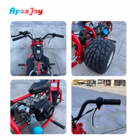 ApexJoy Trike à essence 212cc Édition Rouge pour Adultes, Kart à 3 roues, Charge utile 200kg, Prix de Gros B2B, Profit Maximal pour les Concessionnaires