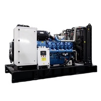 Groupe électrogène diesel premium 200 400 600 kilowatts, équipé d'un moteur Cummins, 250 kVA, pour la production d'énergie