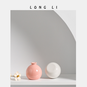 Macetas de Cerámica para Suculentas, Estilo Jardín, Acabado Esmaltado, con Orificio de Drenaje, Ecológicas y Duraderas, Venta al Por Mayor - Product Image 5