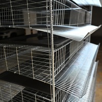 Cage à œufs de caille industrielle neuve à 6 niveaux en acier à faible teneur en carbone avec une capacité de 200 à 400 œufs à vendre