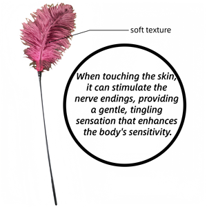 Toptan yüksek kalite yaprak şekli seksi tüyler SM seks oyuncakları flört kutup yetişkin Flriting oyuncak - Product Image 2