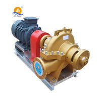 Pompe à grand débit système d'irrigation centrifuge ferme double entrée 10 pouces pompe à eau