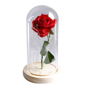 Rose Éternelle Lumineuse LED Artificielle Belle et la Bête en Verre – Fournitures de Fête de Noël pour <span class=keywords><strong>le</strong></span> Nouvel An, la Saint-Valentin, la Fête des Pères, Halloween - Product Image 6