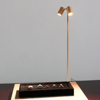 Éclairage LED Moderne Personnalisable Réglable pour Présentoirs de Bijoux et Montres, Double Tête, pour Vitrines de Magasins et Musées