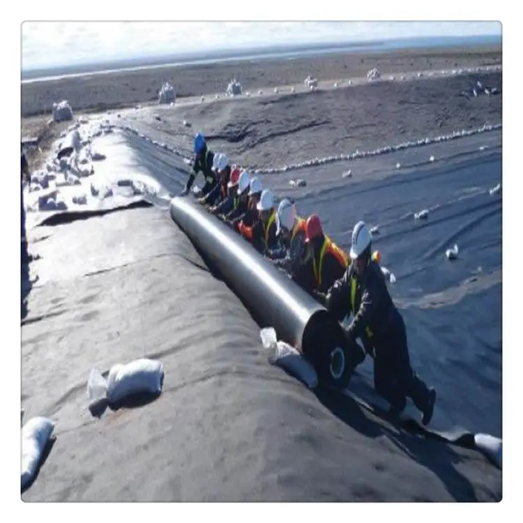 Geomembrane HDPE LDPE LLDPE Geomembrane Price For Landfill