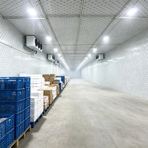 Cámara de Almacenamiento en Frío con Atmósfera Controlada Industrial para la Preservación de Frutas y Verduras Frescas con Temperatura y Humedad Estables - Product Image 3