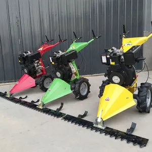 Selbst fahrender Rasenmäher Benzin/Diesel Hand Push Grass Cutter Unkraut bekämpfung maschine