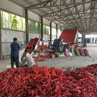 Machine de séchage de piments à faible consommation pour la déshydratation des piments rouges et des poivrons verts, sécheuse à bande à pompe à chaleur écoénergétique