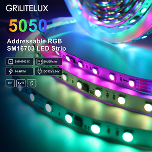 Ruban LED RGB flexible SM16703 SMD5050 DC12V 60 LED/m 20 Pixels/m PCB 10mm 14.4W/m Effets de couleur dynamiques pour éclairage d'affichage - Product Image 1