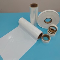 Film Diffuseur en Plastique Blanc pour Éclairage LED et Rétroéclairage LCD, 50 Mic 75 Mic