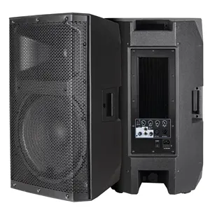 Genauigkeit Pro Audio CAC15AP 15 Zoll Kunststoff-DJ-Karaoke-Subwoofer Aktive Lautsprecher Lautsprecher Audiosystem Sound