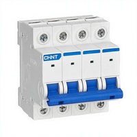 Disjoncteur Chint NXHB-125 2 circuits, certifié PA66 IEC60947-3, conforme CE RoHS, 20A-125A, 240V-415V, résistance aux impulsions 6kV, 6kA Li