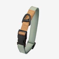 Conjunto de Correa y Collar para Perro de Aleación Sólida de Lujo Personalizado, Diseño Fresco con Cinta de Tela Impermeable y Liberación Rápida