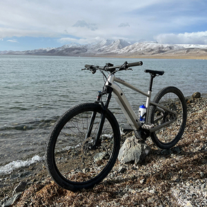 BAFANG High-End 29 Inch MTB Bicicleta eléctrica 250W Motor <span class=keywords><strong>central</strong></span> con batería de litio de largo alcance UE <span class=keywords><strong>Europa</strong></span> Stock al por mayor - Product Image 4