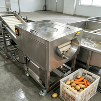 Automatische elektrische groentewasmachine en -schiller voor zoete aardappel, lotuswortel, knoflook en cassave