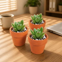 Pot Bunga Kaktus Tanah Liat Mini Terra Cotta Pot Sukulen Pot Keramik Pekebun
