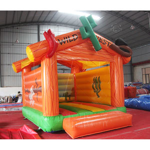 บ้านเป่าลมรูปกระบองเพชรสำหรับเด็กบ้านเป่าลมกระเด้งแบบปราสาทกระโดดคอมโบเปลเด็กพีวีซีเกรดพาณิชย์รับประกัน3ปีติดตั้งง่าย - Product Image 2