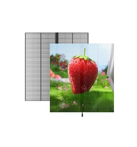 Transparent LED <b>Display</b> <b>Cabinet</b> for Glass Window Outdoor Use IP65 Waterproof Silver Color <b>Wall</b> <b>Mount</b> 7000 cd Brightness - Product Image 2